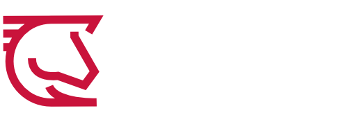 Chess SAP