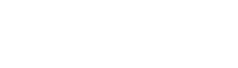 Consystem